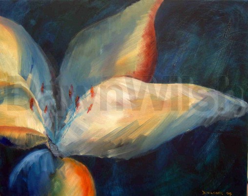 Lily I